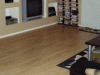 terry061
